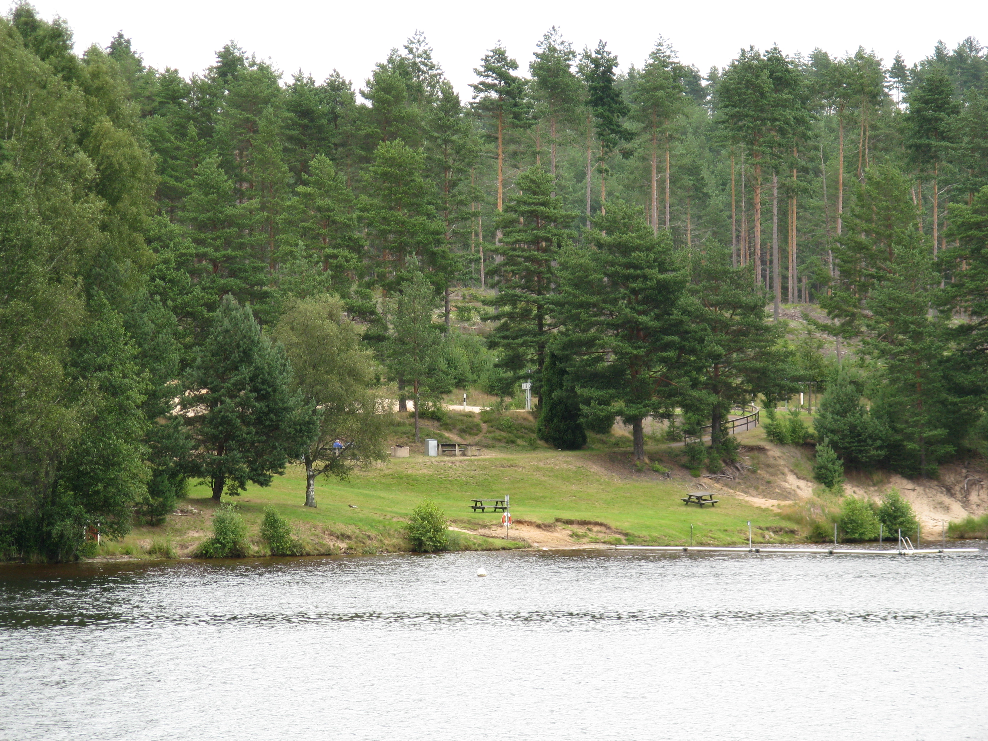 En grön öppen yta mellan högar träd, ligger nära strandkanten till en sjö.