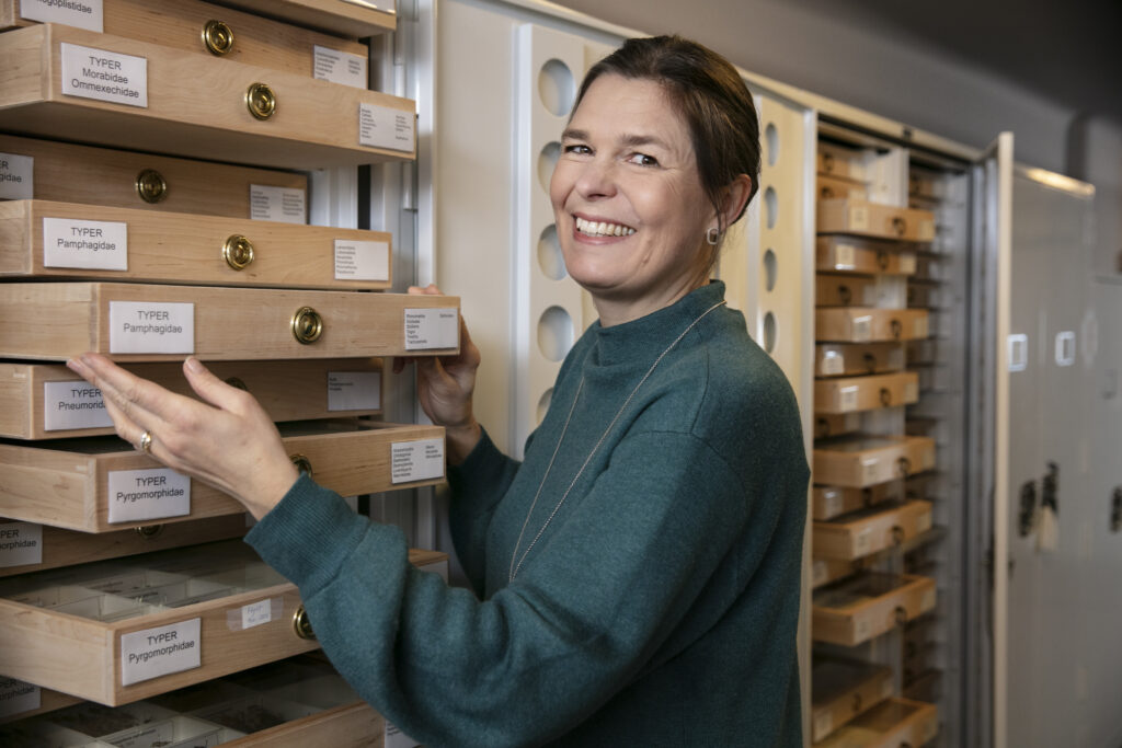 Naturhistoriska riksmuseets överintendent Lisa Månsson står i museets samlingar och håller i en låda.