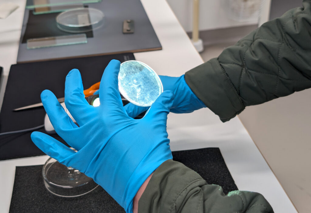 Händer med blå plasthandskar håller i ett runt glasföremål i en laboratoriemiljö