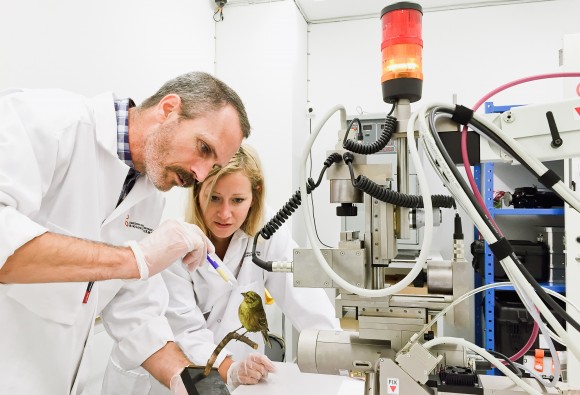 Undersökning av ett objekt från en naturhistorisk samling med hjälp av röntgenfluorescensinstrument.