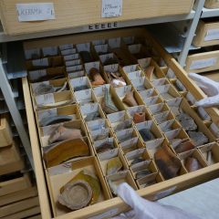 Hyllor med träbackar med en massa små pappersboxar i som var och en innehåller ett fornfynd. På varje sitter ett pappersgem med en lapp om fyndet.