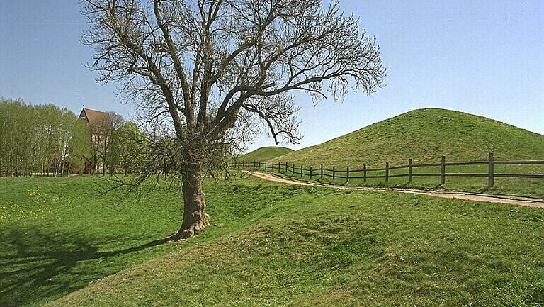 Fält med stora grönklädda kullar och däremellan ett stort träd.