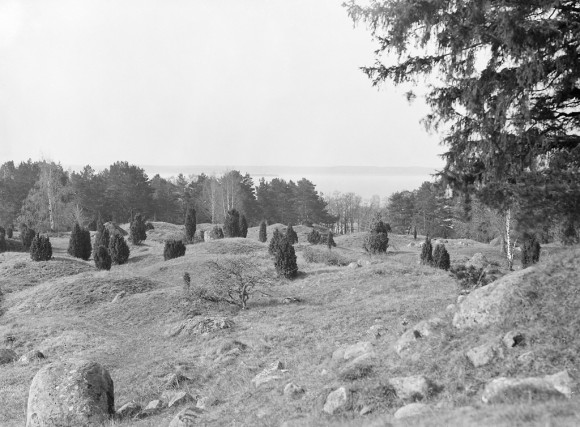 Lämningar av den vikingatida stadsvallen på Birka / Björkö i Mälaren. Det vikingatida Birka och Hovgården från 700 till 900-talet är idag ett världsarv på UNESCO:s världsarvslista.