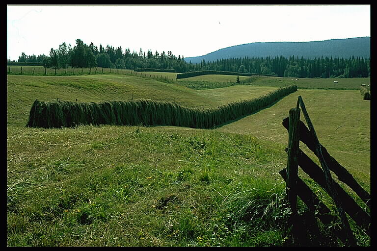 Kulturmiljö i Jämtland