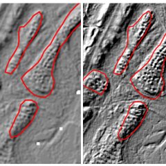 På Falsterbonäset i Skåne finns spåren efter ett medeltida fiskeläge. Till vänster är ett ortofoto och övriga bilder är bearbetningar av laserdata från Lantmäteriet. Ur rapporten "Fjärranalys för kulturmiljövården", Riksantikvarieämbetet 2015.