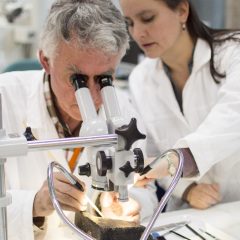 En man och en kvinna arbetar med ett föremål vid ett mikroskåp.