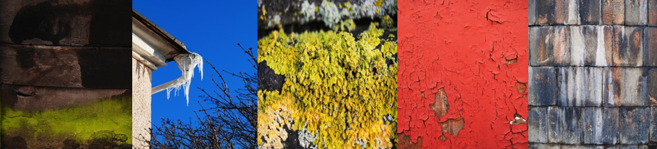 Fem bilder bredvid varandra: grön algpåväxt på husgrund, istappar hängande från ett stuprör, gula lavar på sten, flagnande röd målarfärg, murad sten randig av rinnande vatten.