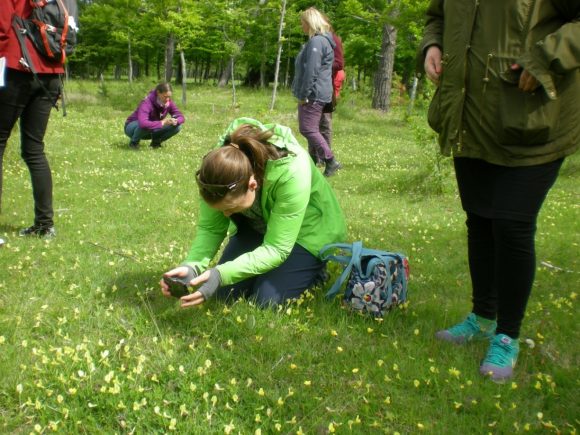 Annika Borg, Centrum för biologisk mångfald, och Maria van der Wie, Svenska botaniska föreningen, studerar floran på en örtrik betesmark i Brucebo naturreservat.