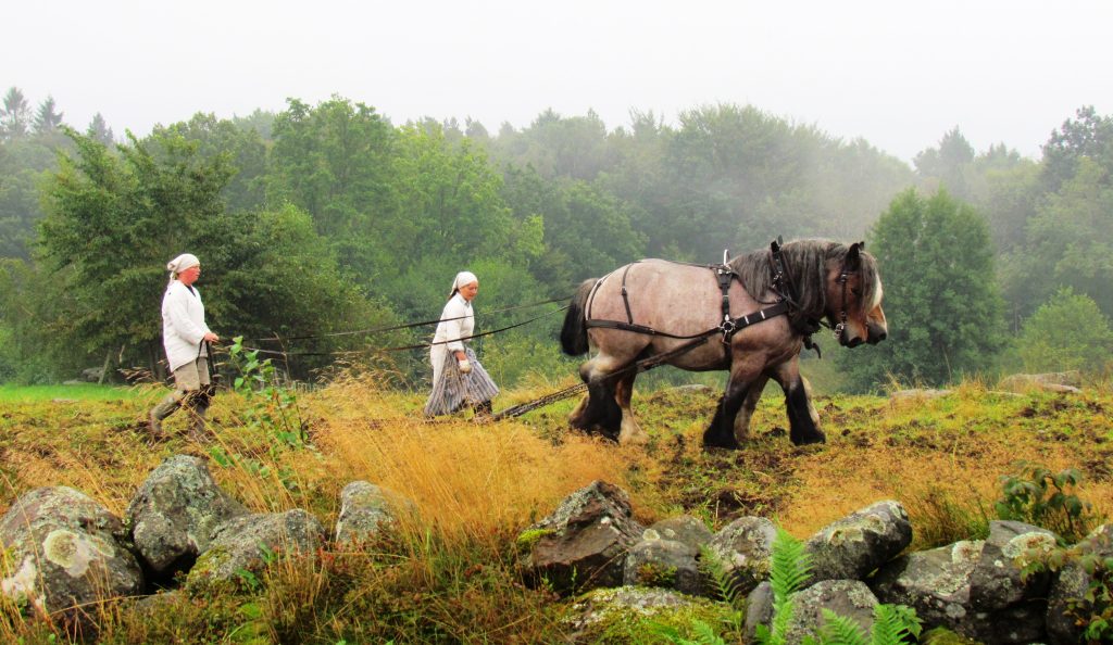 Två kvinnor i samtida kläder med huckle och förkläda går bakom en häst i en dimhöljd åkervy.