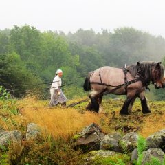 Två kvinnor i samtida kläder med huckle och förkläda går bakom en häst i en dimhöljd åkervy.