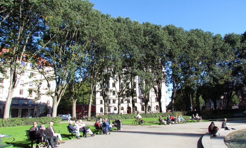 Stora höga träd i stadspark. Människor sitter på parkbänkar i solsken. I bakgrunden två vita hus.