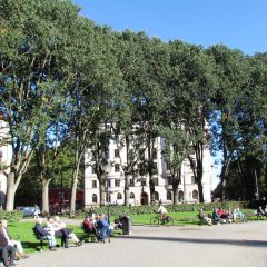Stora höga träd i stadspark. Människor sitter på parkbänkar i solsken. I bakgrunden två vita hus.
