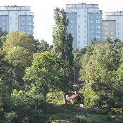 Årsta skog och höghusen i Johanneshov.