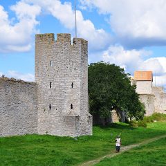 En bågskytt i Östergravar utanför Visby ringmur, Gotland.