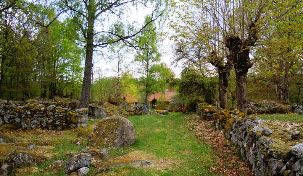 Kulturlandskapet kring Ire i Blekinge med stenmurar.