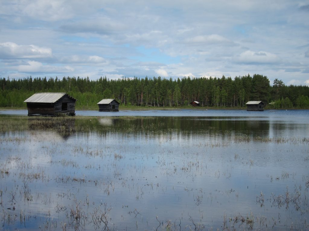 Naturbild med vy över dammar i förgrunden och viste i bakgrunden.