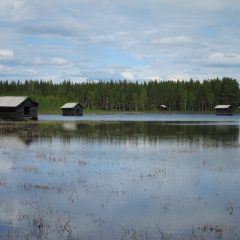 Naturbild med vy över dammar i förgrunden och viste i bakgrunden.