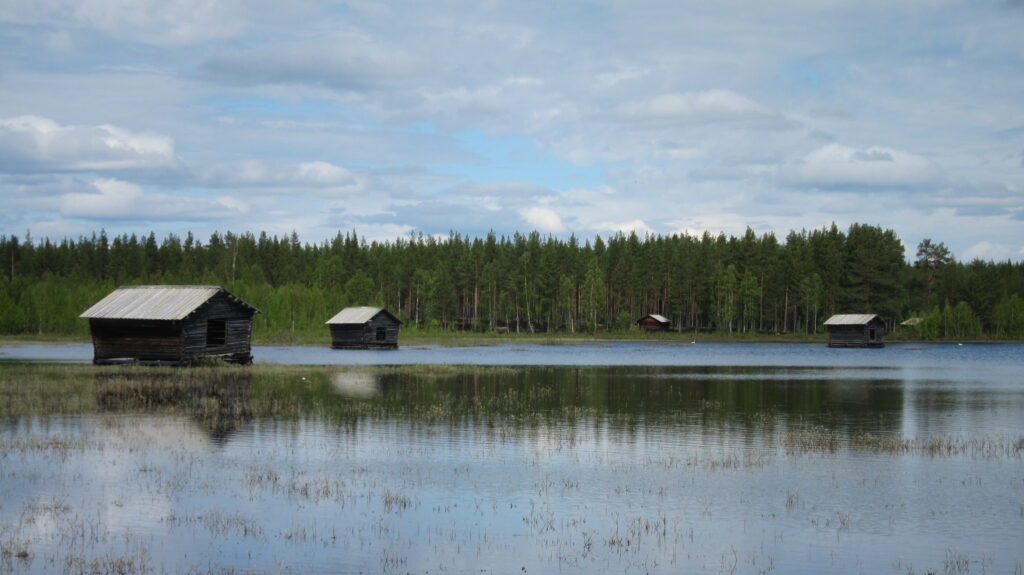 Naturbild med vy över dammar i förgrunden och viste i bakgrunden.