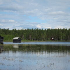 Naturbild med vy över dammar i förgrunden och viste i bakgrunden.