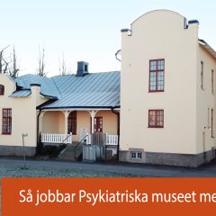 Psykiatriska museet från ovan