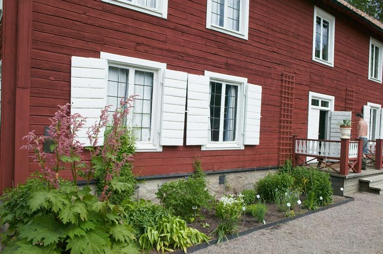 Rabatt med växter som odlats länge på Linnés Hammarby i Uppland.
