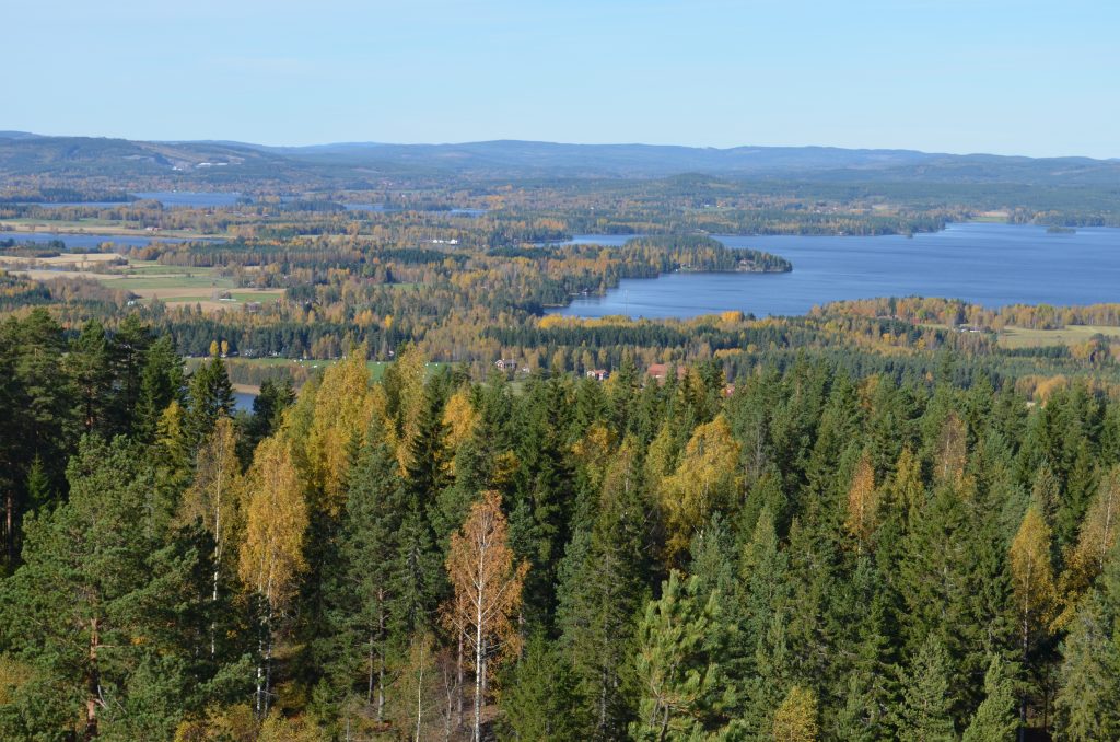 Vy från Rösåsens utsiktstorn
