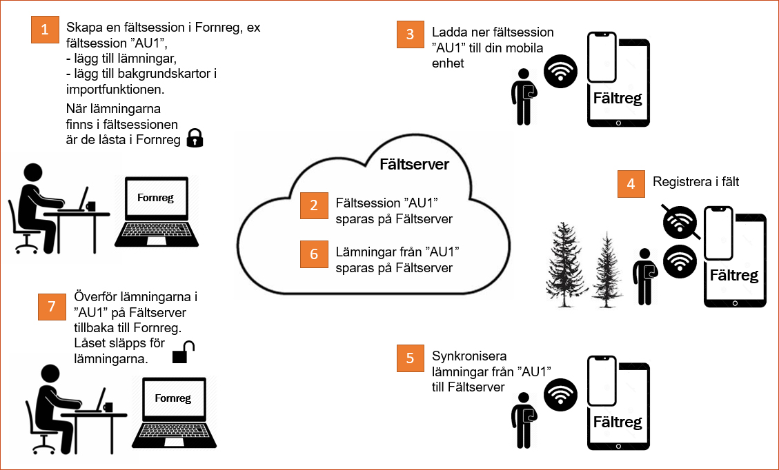 Arbetsflöde för registrering i Fältreg.