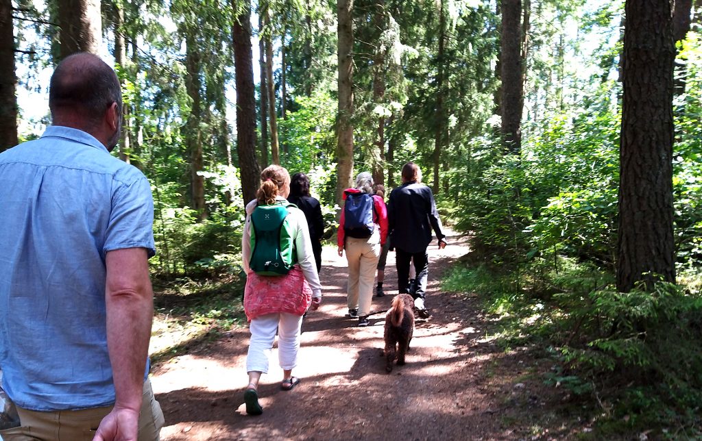 Människor som vandrar längs en stig i skogsmark