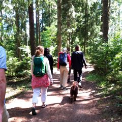 Människor som vandrar längs en stig i skogsmark