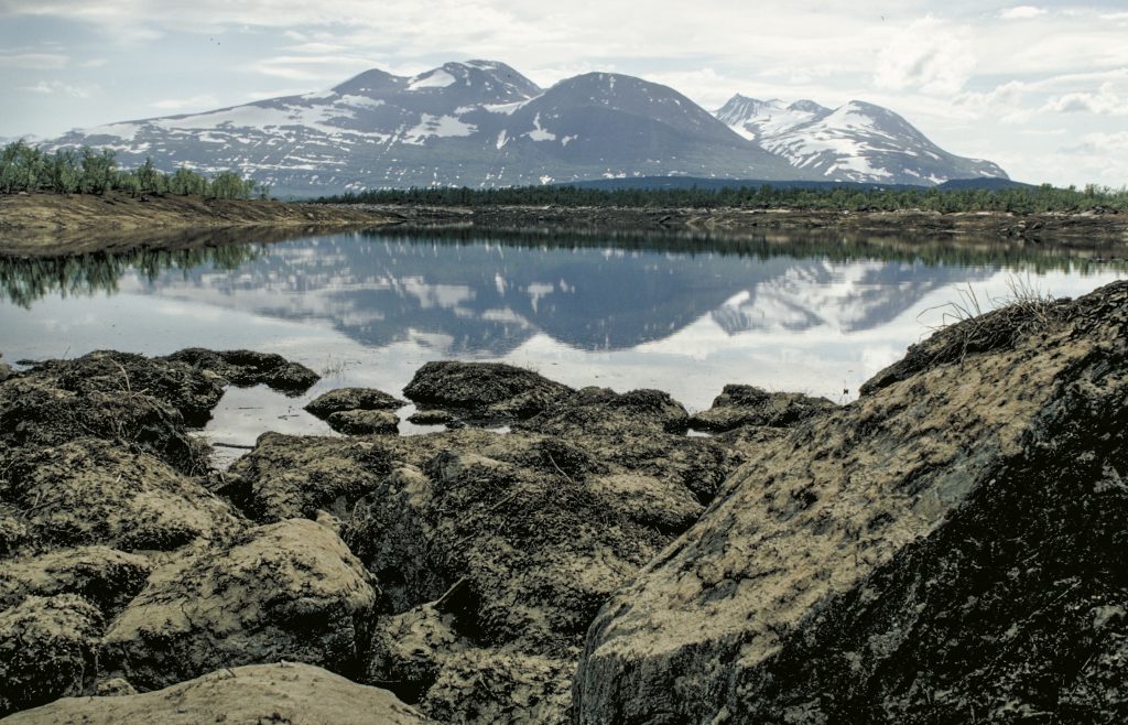 Vy över damm, med ett snöklätt fjäll i bakgrunden