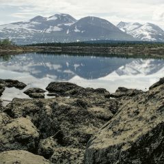 Vy över damm, med ett snöklätt fjäll i bakgrunden