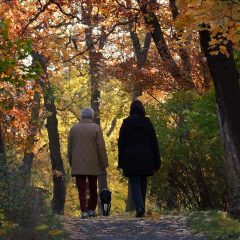 Två personer vandrar på en stig i en skog med höga träd i höstfärger