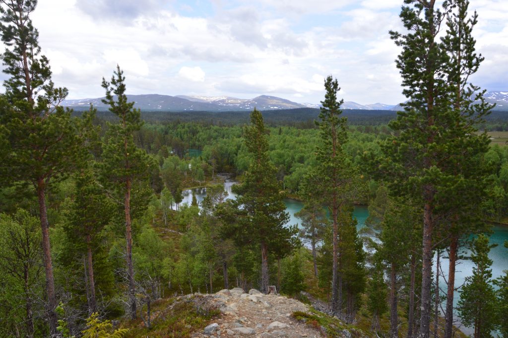 Vy över landskap med träd och kullar. I bakgrunden vid horisonten syns bergen.