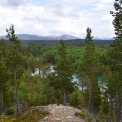 Vy över landskap med träd och kullar. I bakgrunden vid horisonten syns bergen.