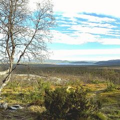 Här syns myren vid Flatruet-Ruvallen. Hällristningar vittnar om platsens forna betydelse.