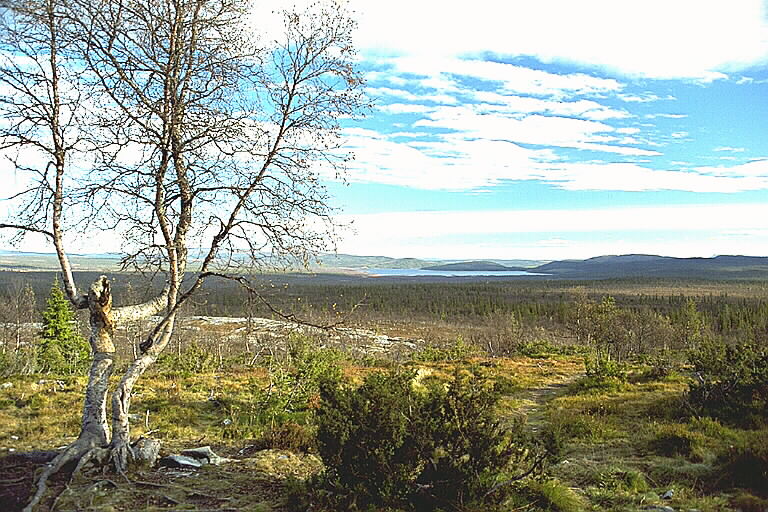 Här syns myren vid Flatruet-Ruvallen. Hällristningar vittnar om platsens forna betydelse.