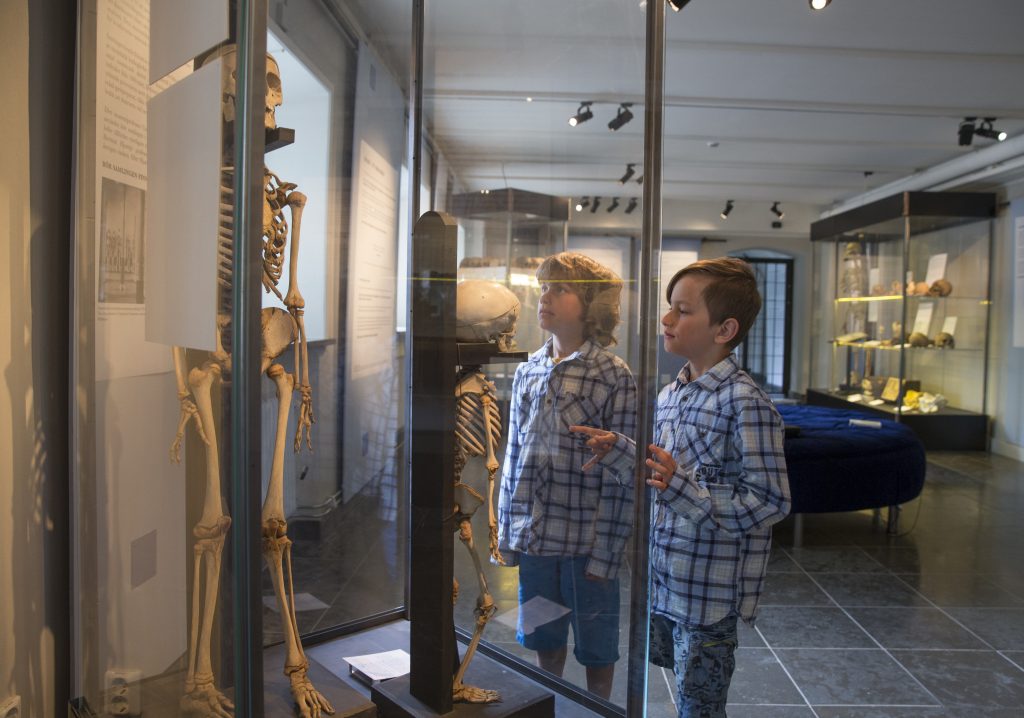 Två barn tittar på museimonter innehållande ett barnskelett