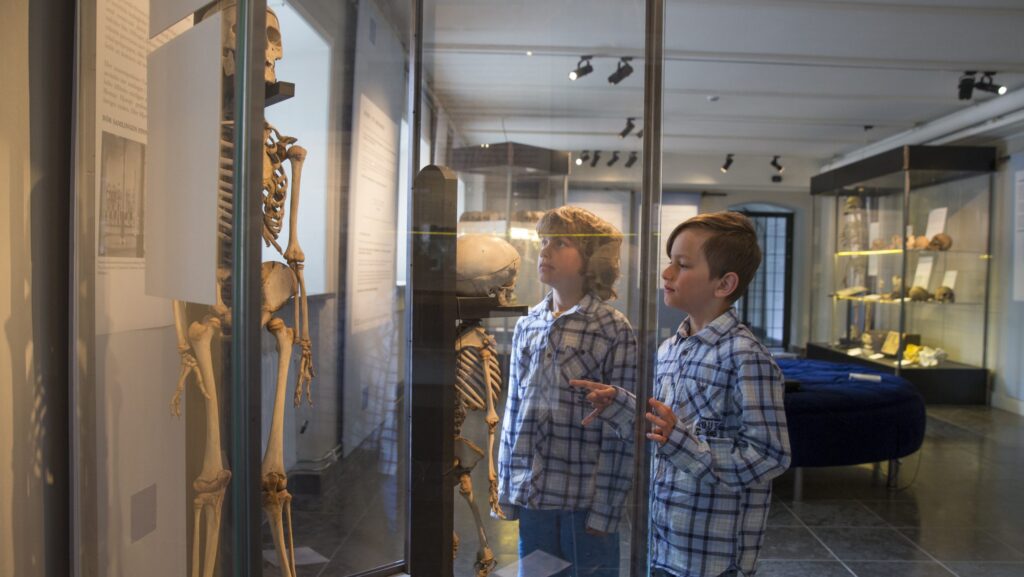 Två barn tittar på museimonter innehållande ett barnskelett