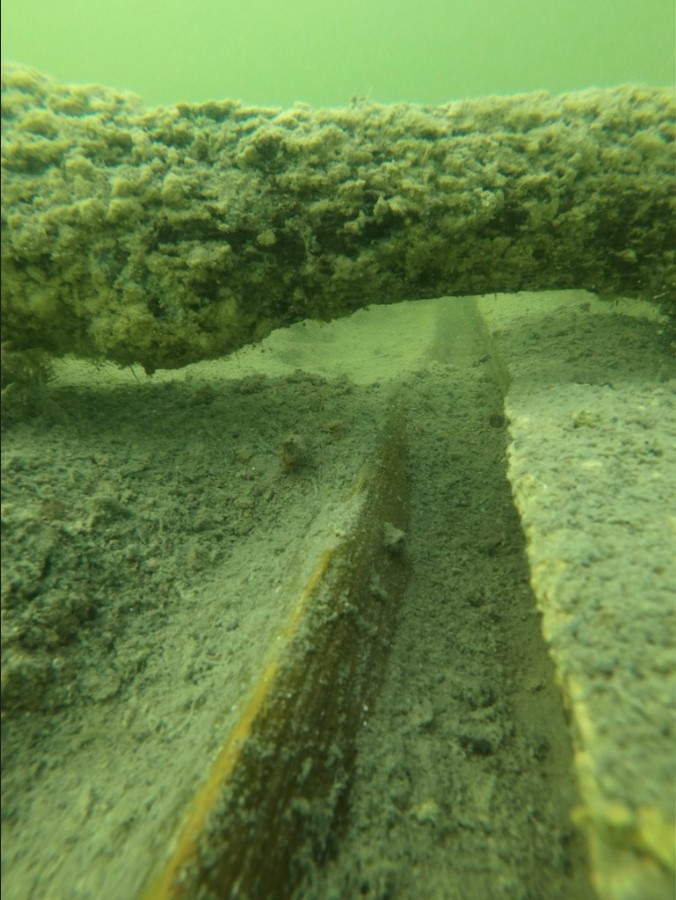 Undervattensbild på fornlämningen Bulverket i Tingstäde träsk på Gotland.