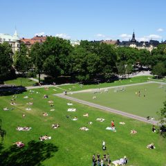 Bild på parkmiljö, Vasaparken i Stockholm som är en typ av gestaltad livsmiljö.