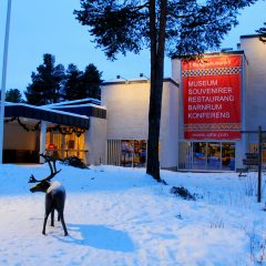 Ren med horn står framför ingången till museet.