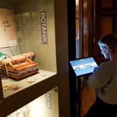 Ett barn tittar på en skärm framför en museimonter