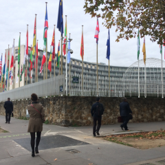 Bilden visar Unescos högkvarter i Paris. På trotoaren går människor och inne på gården hänger hundratals flaggor från världens alla länder