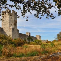 Visby ringmur och vallgraven utanför i höstfärger.