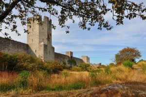 Visby ringmur och vallgraven utanför i höstfärger.