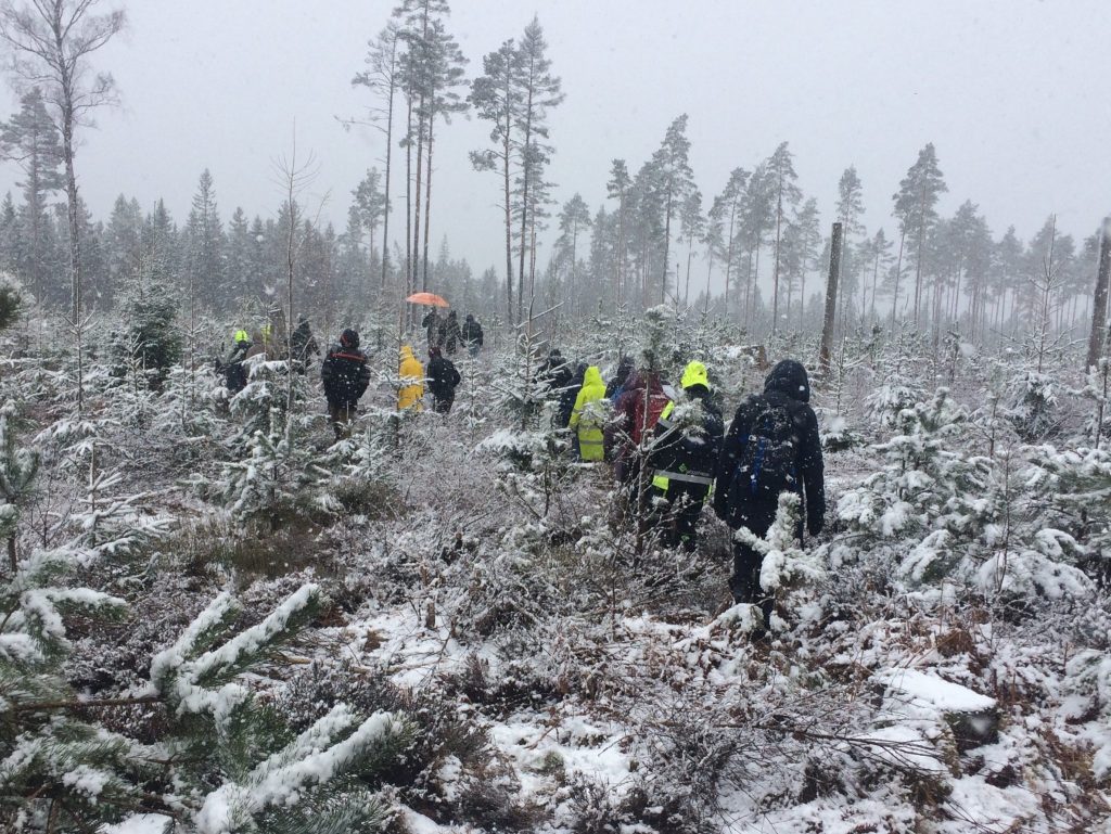I ett snöoväder vandrar personer i ojämn skogsterräng med små granar
