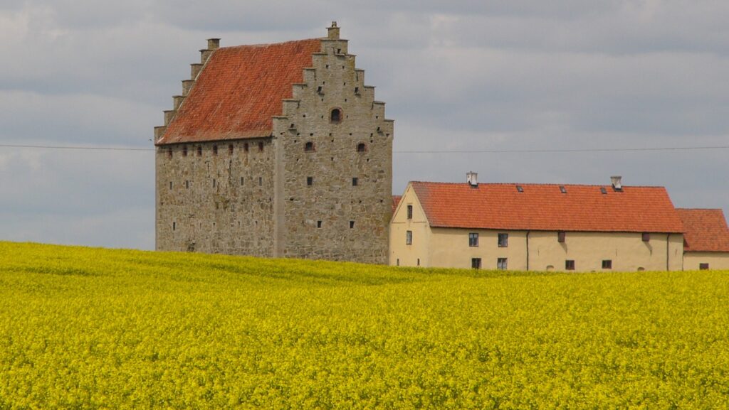 En stor stenbyggnad med tegeltak och trappgavel reser sig majestätiskt upp ur ett rapsfält.