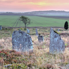 Några äldre grå gravstenar med en grön åker och en orange himmel i bakgrunden.