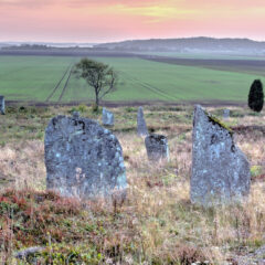 Några äldre grå gravstenar med en grön åker och en orange himmel i bakgrunden.