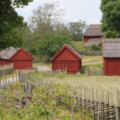 Lummig och grönskande miljö med små knuttimrade byggnader med röda fasader och sadeltak. I förgrunden en gärdesgård.